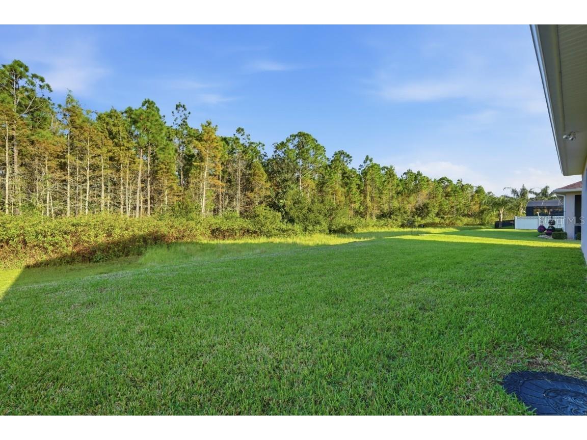 3375 Bellino Blvd. New Smyrna Beach FL 32168 FC313823 image35