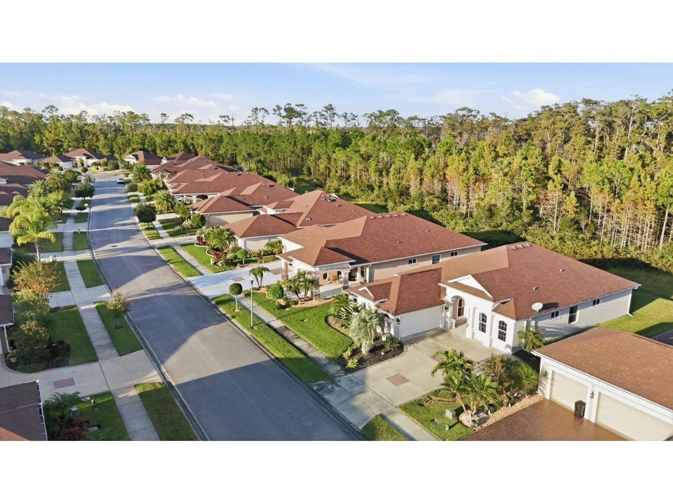 3375 Bellino Blvd. New Smyrna Beach FL 32168 FC313823 image36