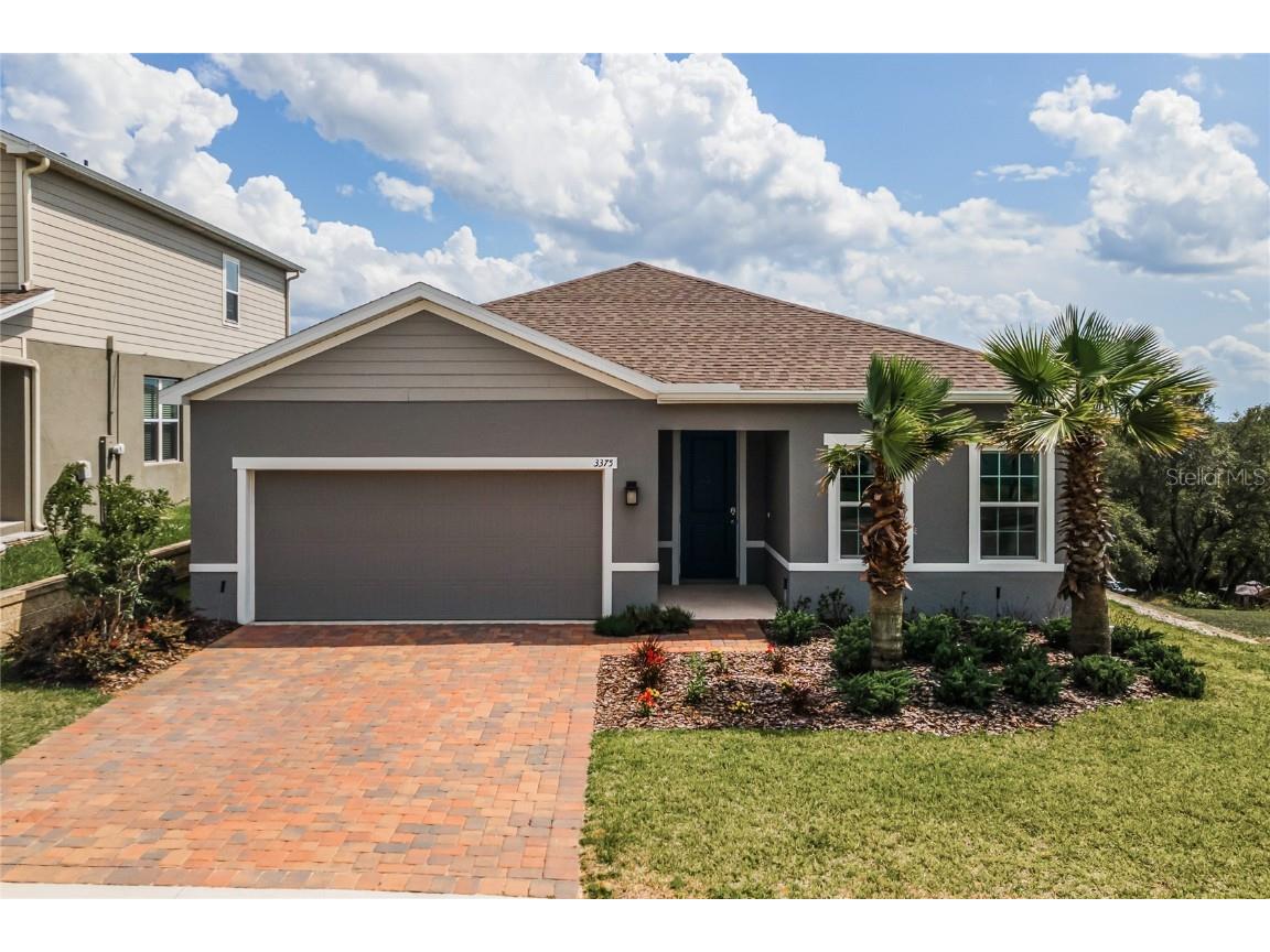 3375 Grassy Lake View Avenue Minneola FL 34715 O6106225 image1