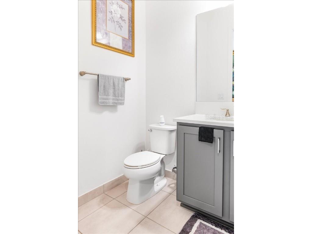 3375 Juniper Springs Street Wesley Chapel FL 33543 A4649242 image24