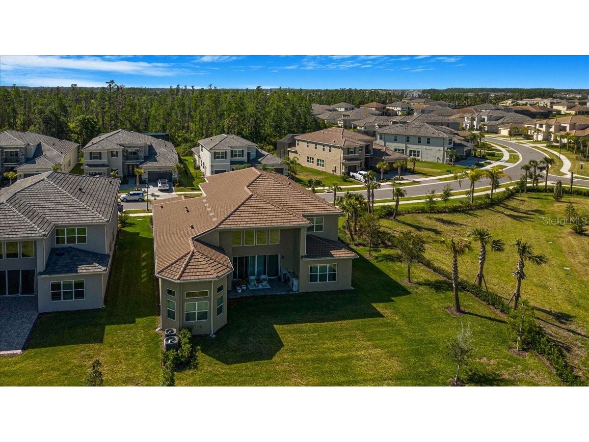 3375 Juniper Springs Street Wesley Chapel FL 33543 A4649242 image35