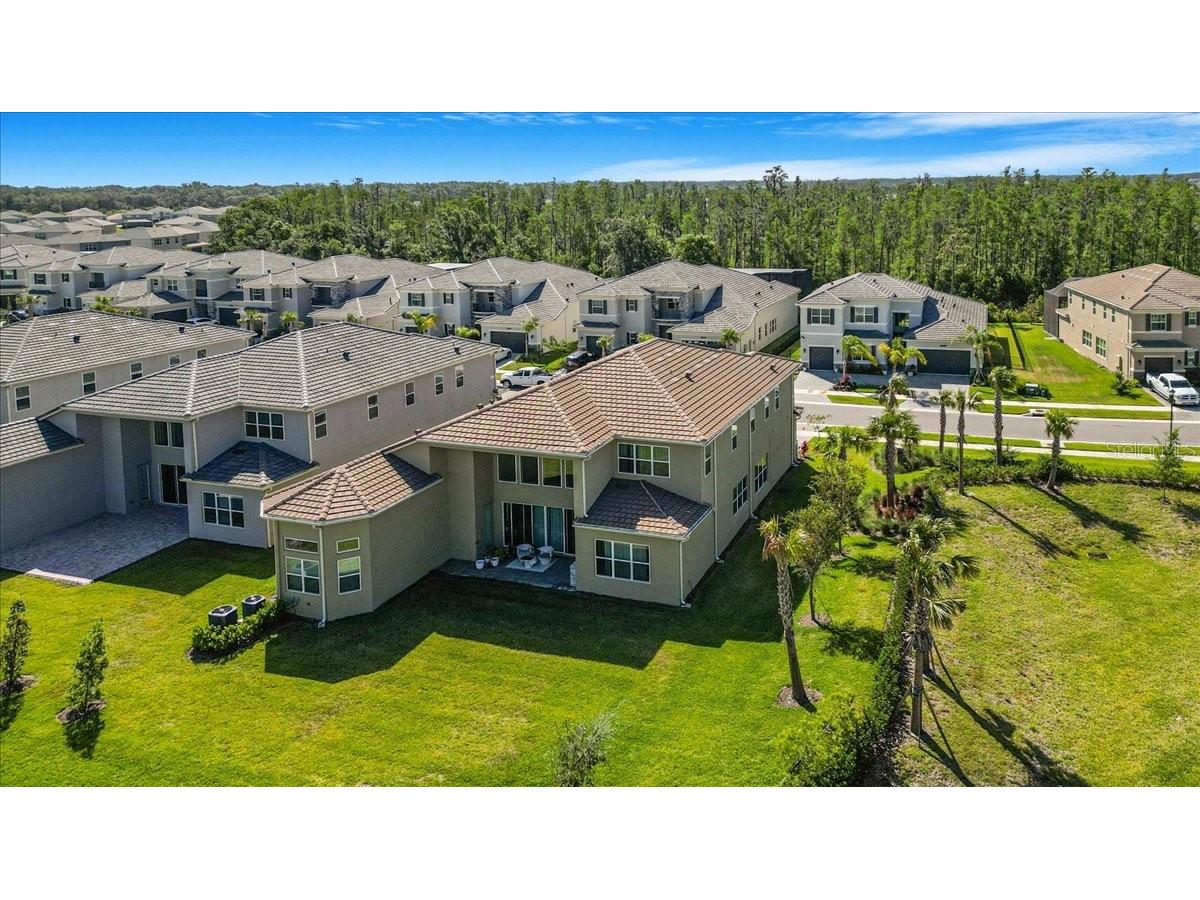 3375 Juniper Springs Street Wesley Chapel FL 33543 A4649242 image37