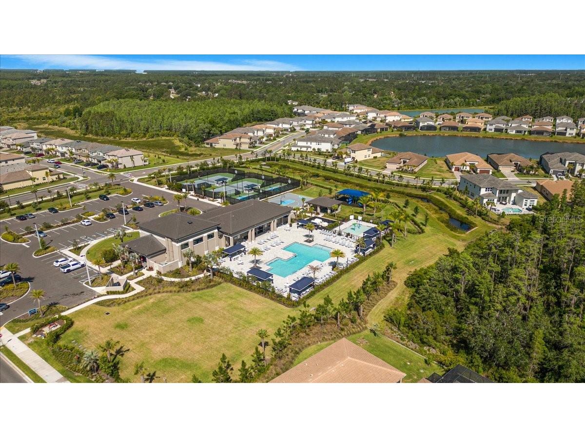 3375 Juniper Springs Street Wesley Chapel FL 33543 A4649242 image45