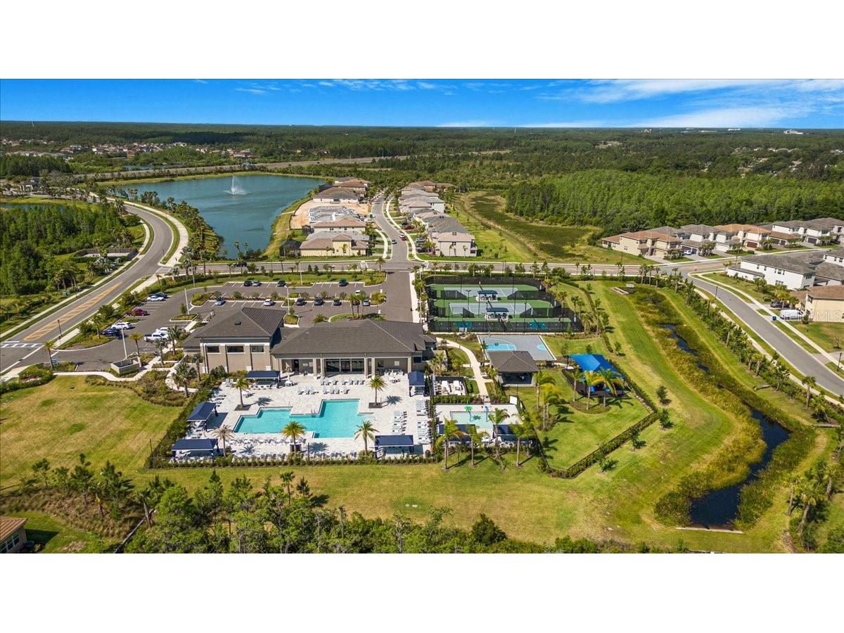 3375 Juniper Springs Street Wesley Chapel FL 33543 A4649242 image46