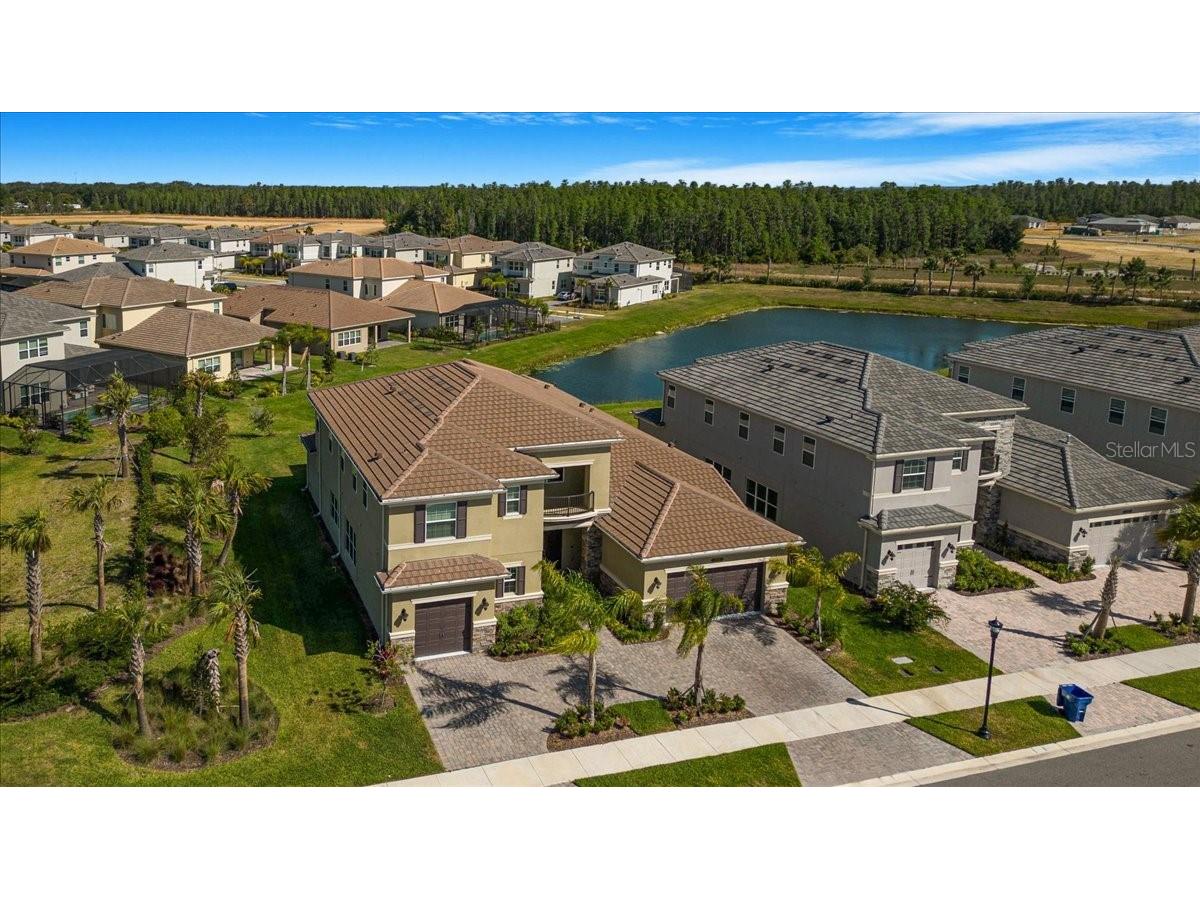 3375 Juniper Springs Street Wesley Chapel FL 33543 A4649242 image60