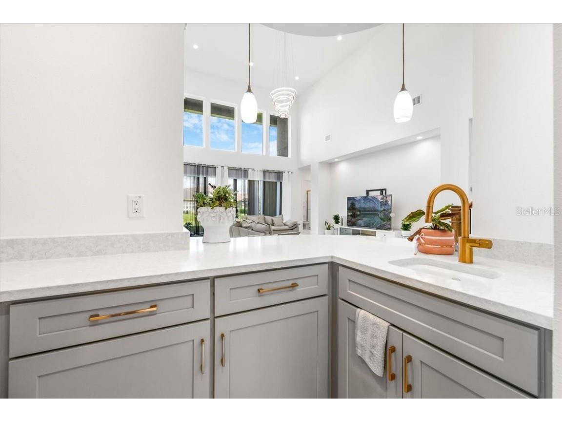 3375 Juniper Springs Street Wesley Chapel FL 33543 A4649242 image9