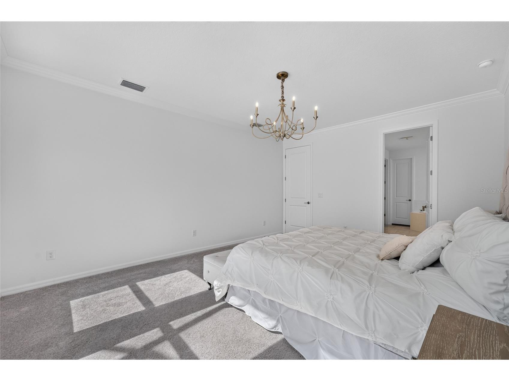 33751 Landsman Loop Wesley Chapel FL 33543 TB8525006 image22