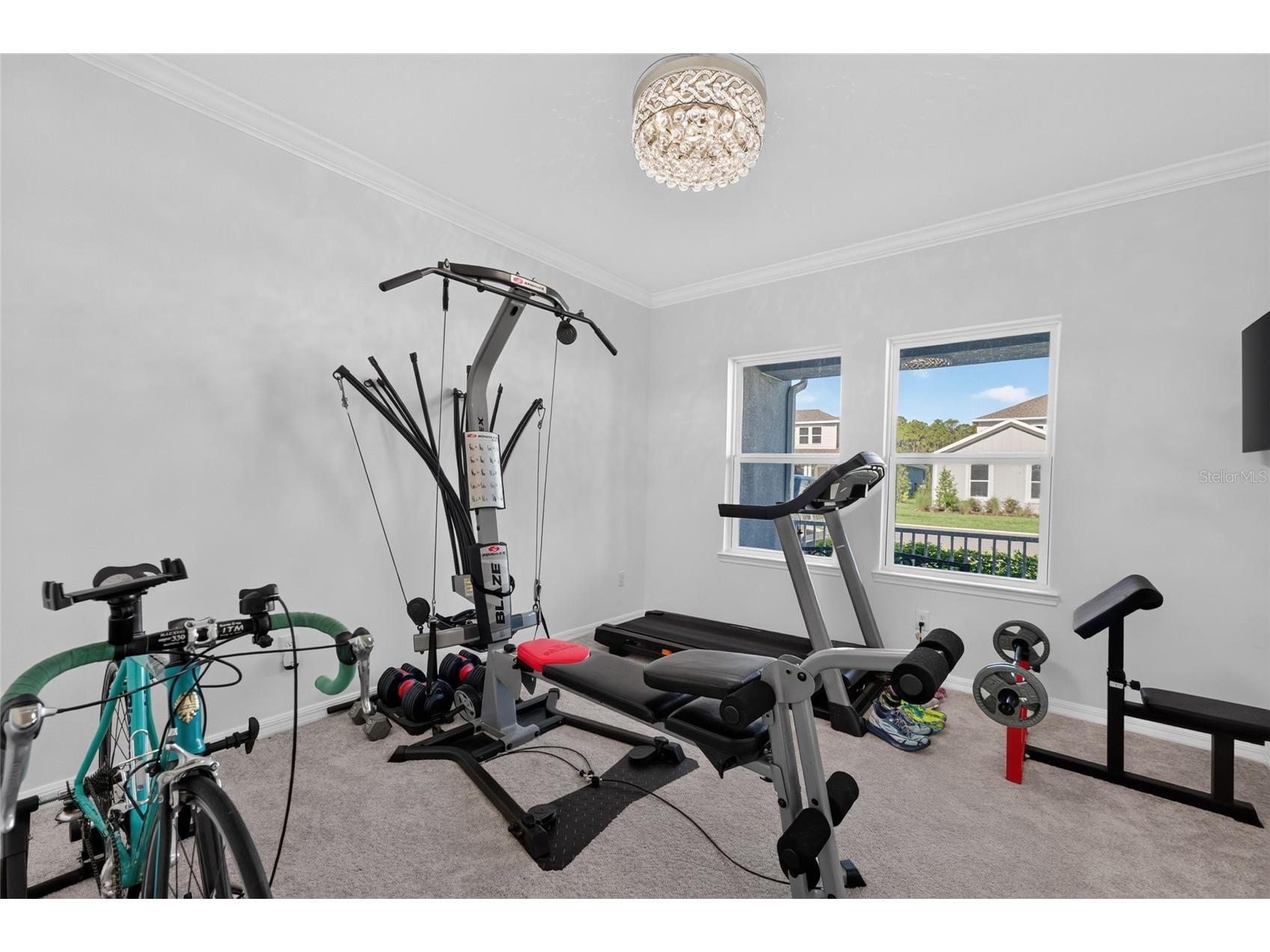 33751 Landsman Loop Wesley Chapel FL 33543 TB8525006 image36