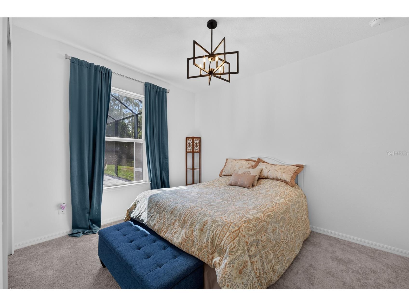 33751 Landsman Loop Wesley Chapel FL 33543 TB8525006 image37