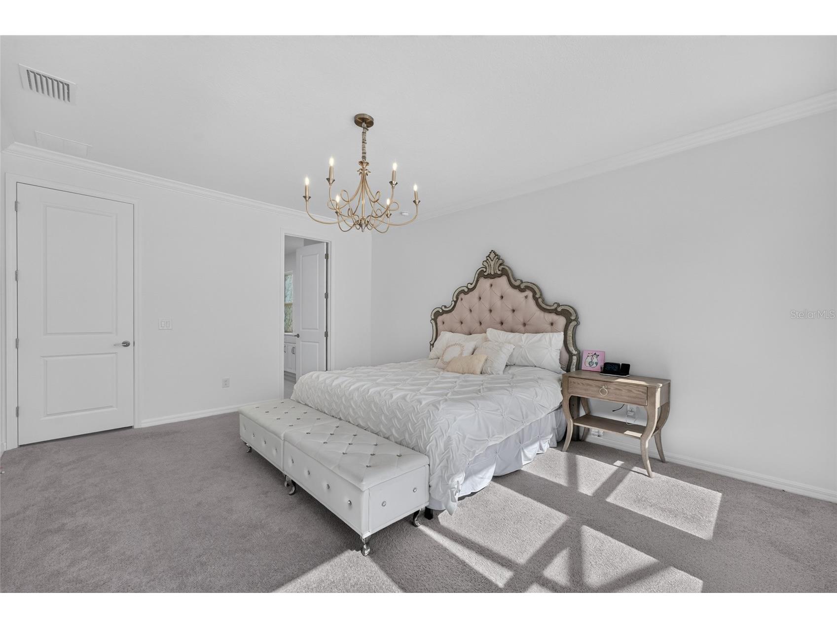 33751 Landsman Loop Wesley Chapel FL 33543 TB8525006 image4