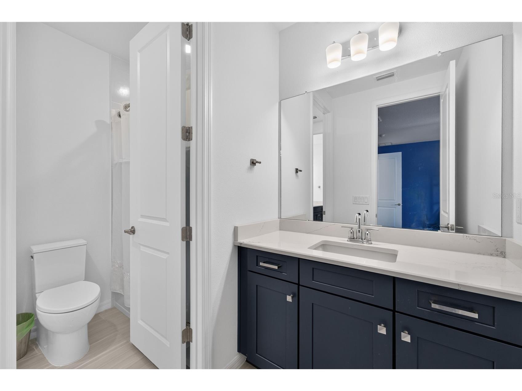33751 Landsman Loop Wesley Chapel FL 33543 TB8525006 image47