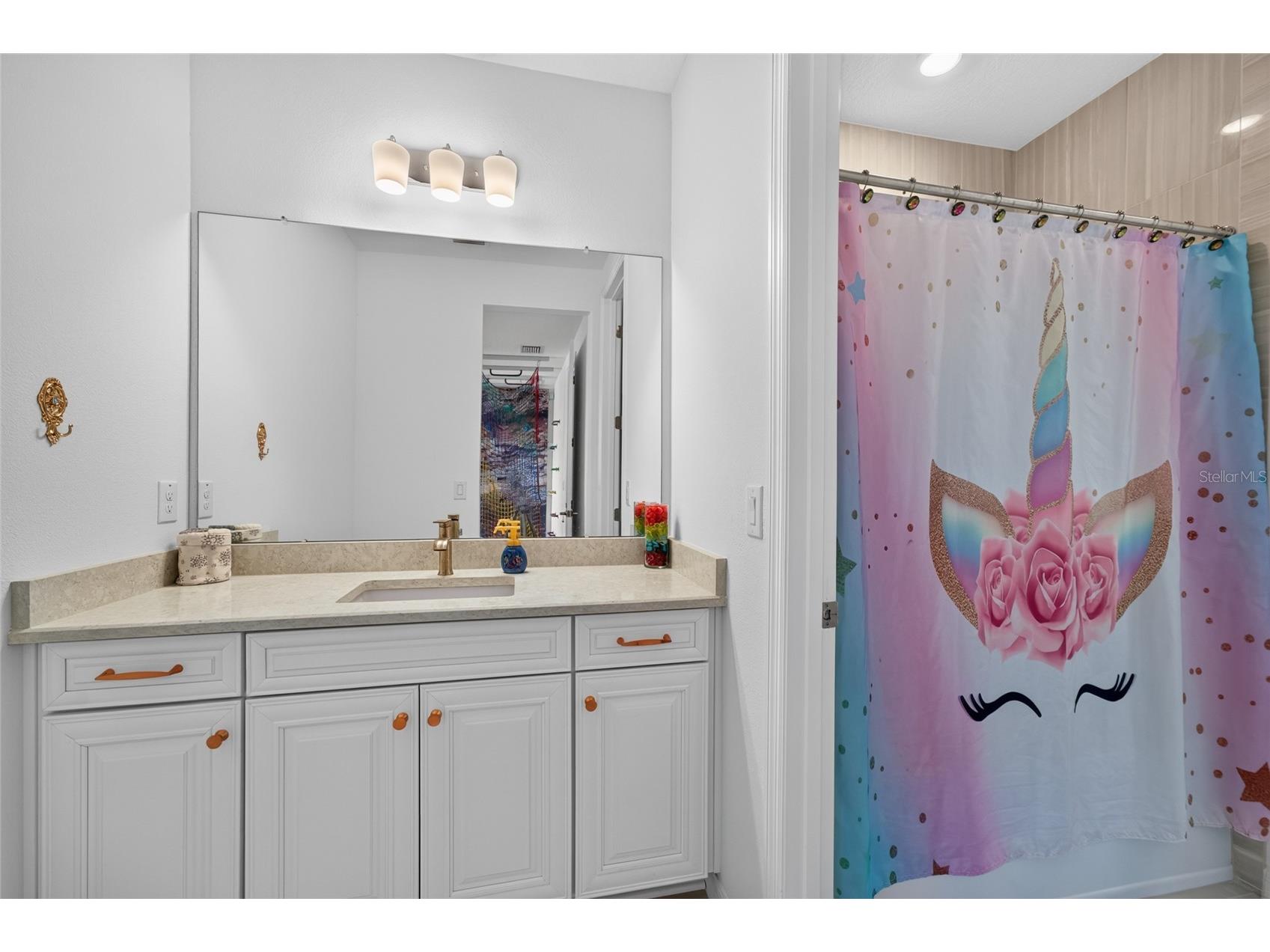 33751 Landsman Loop Wesley Chapel FL 33543 TB8525006 image73