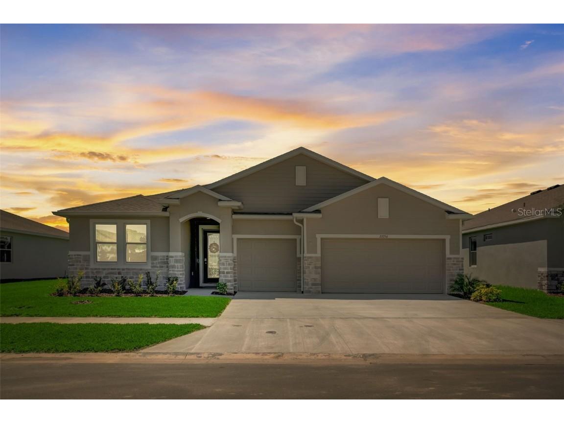 33756 Hamilton Hill Lane Wesley Chapel FL 33545 T3516686 image1