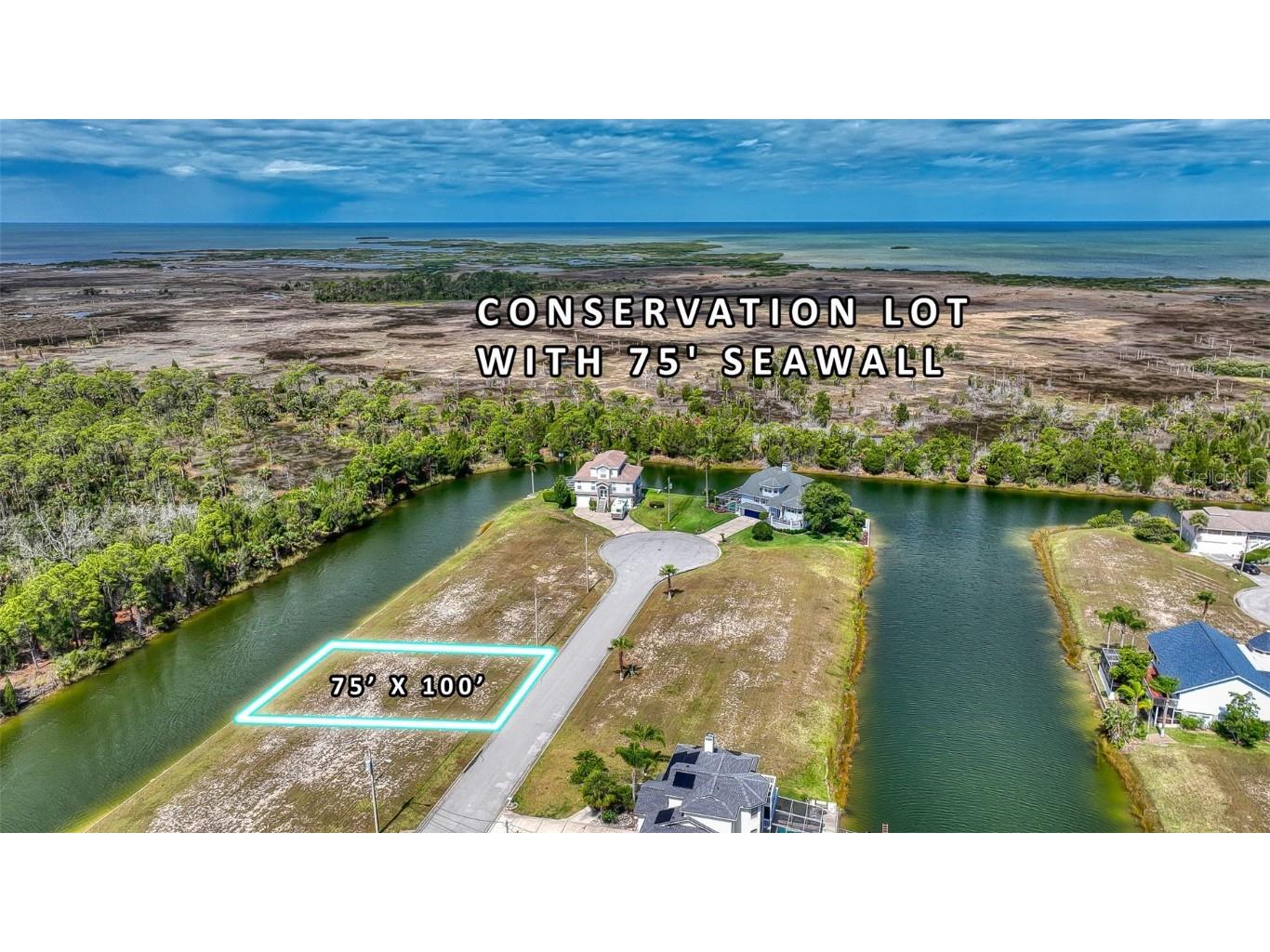3376 Palometa Drive Hernando Beach FL 34607 - GULF OF MEXICO T3449965 image1