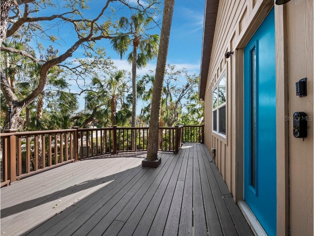 3376 S Seclusion Drive Sarasota FL 34239 - PHILLIPPI CREEK A4666149 image3