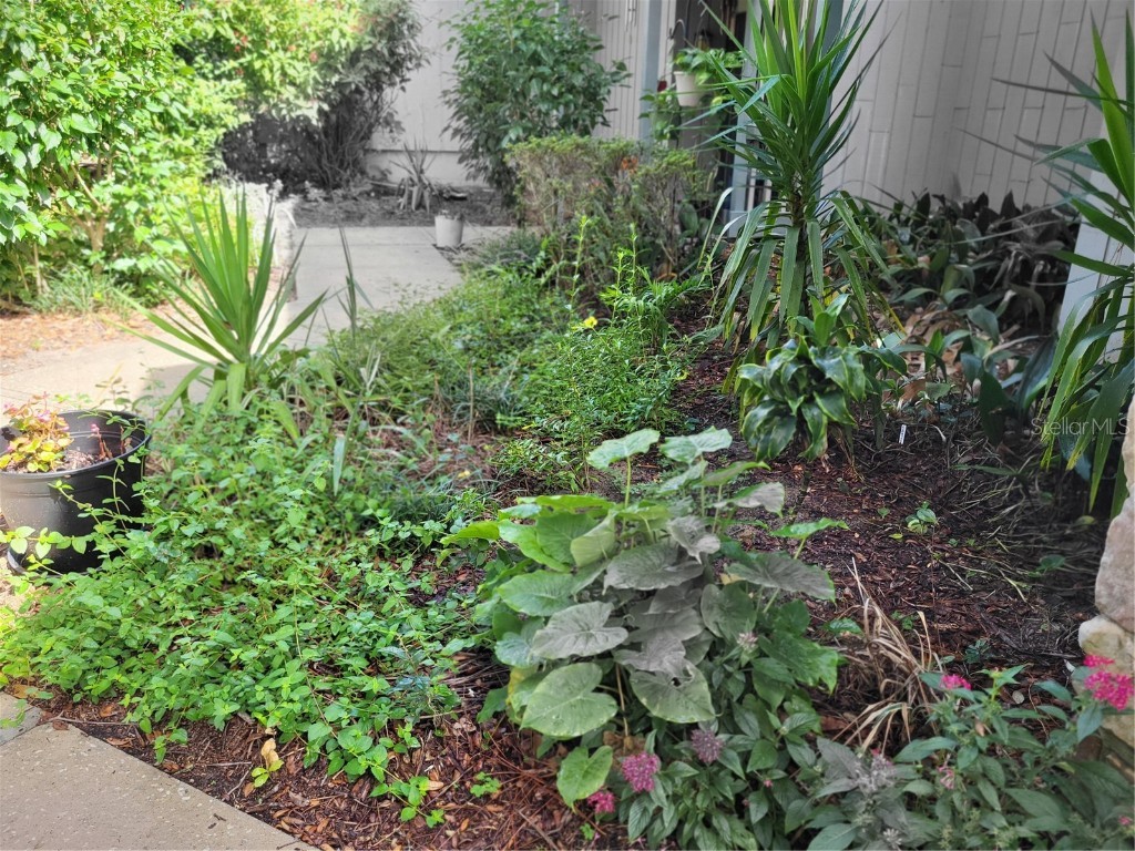 3377 Camelot Drive #3377 Haines City FL 33844 P4936652 image2