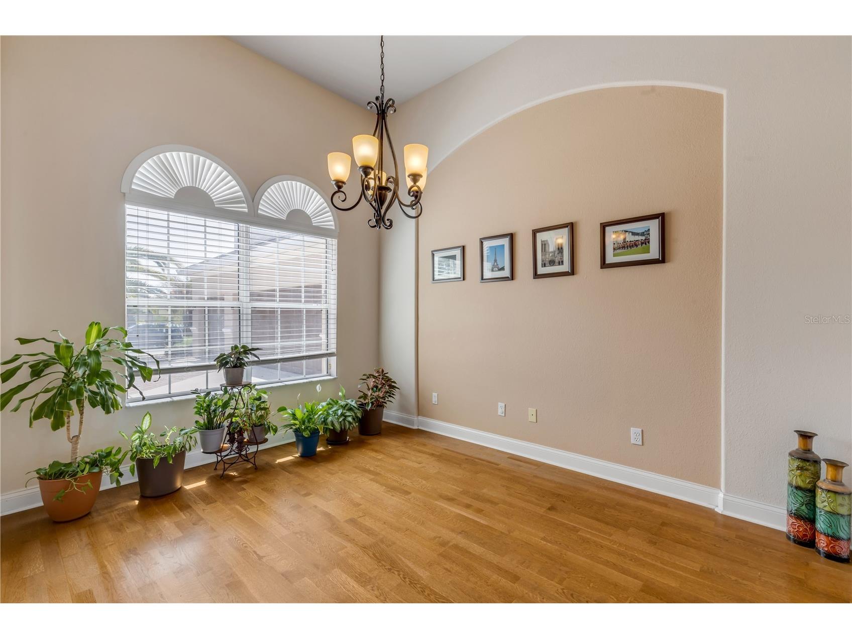 3377 Caterina Drive New Smyrna Beach FL 32168 O6391834 image5