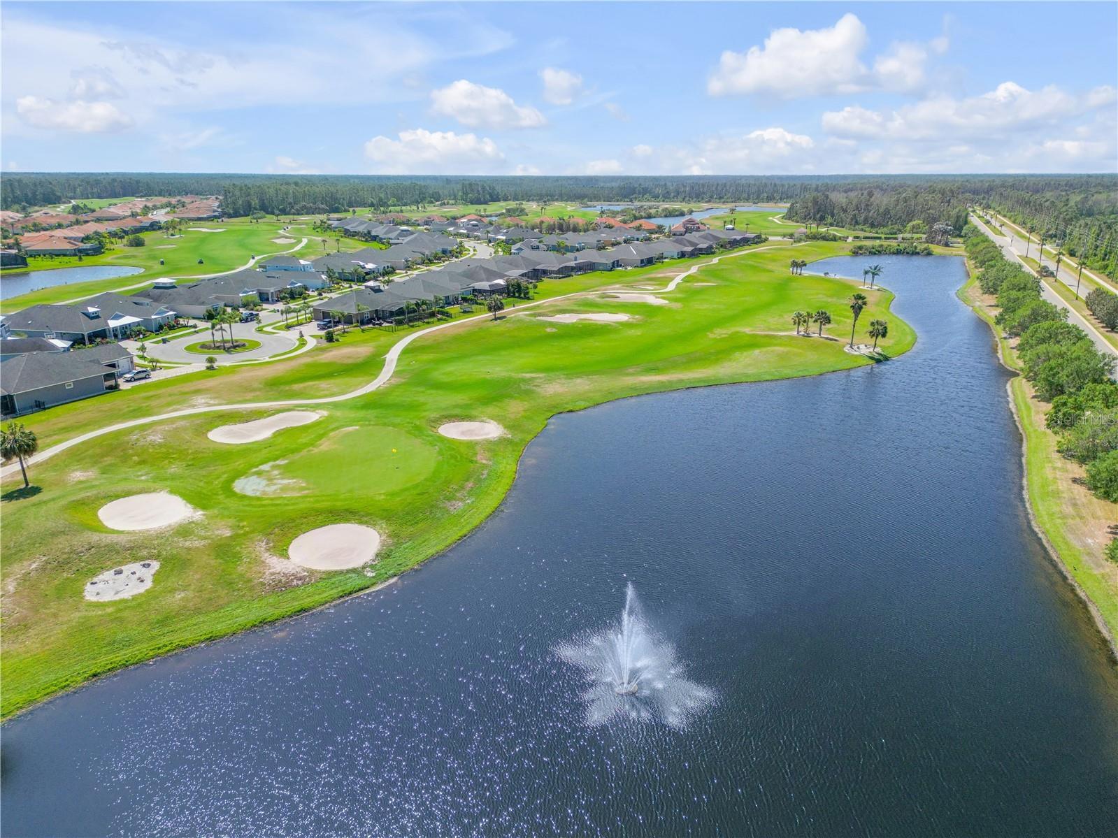 3377 Caterina Drive New Smyrna Beach FL 32168 O6391834 image50