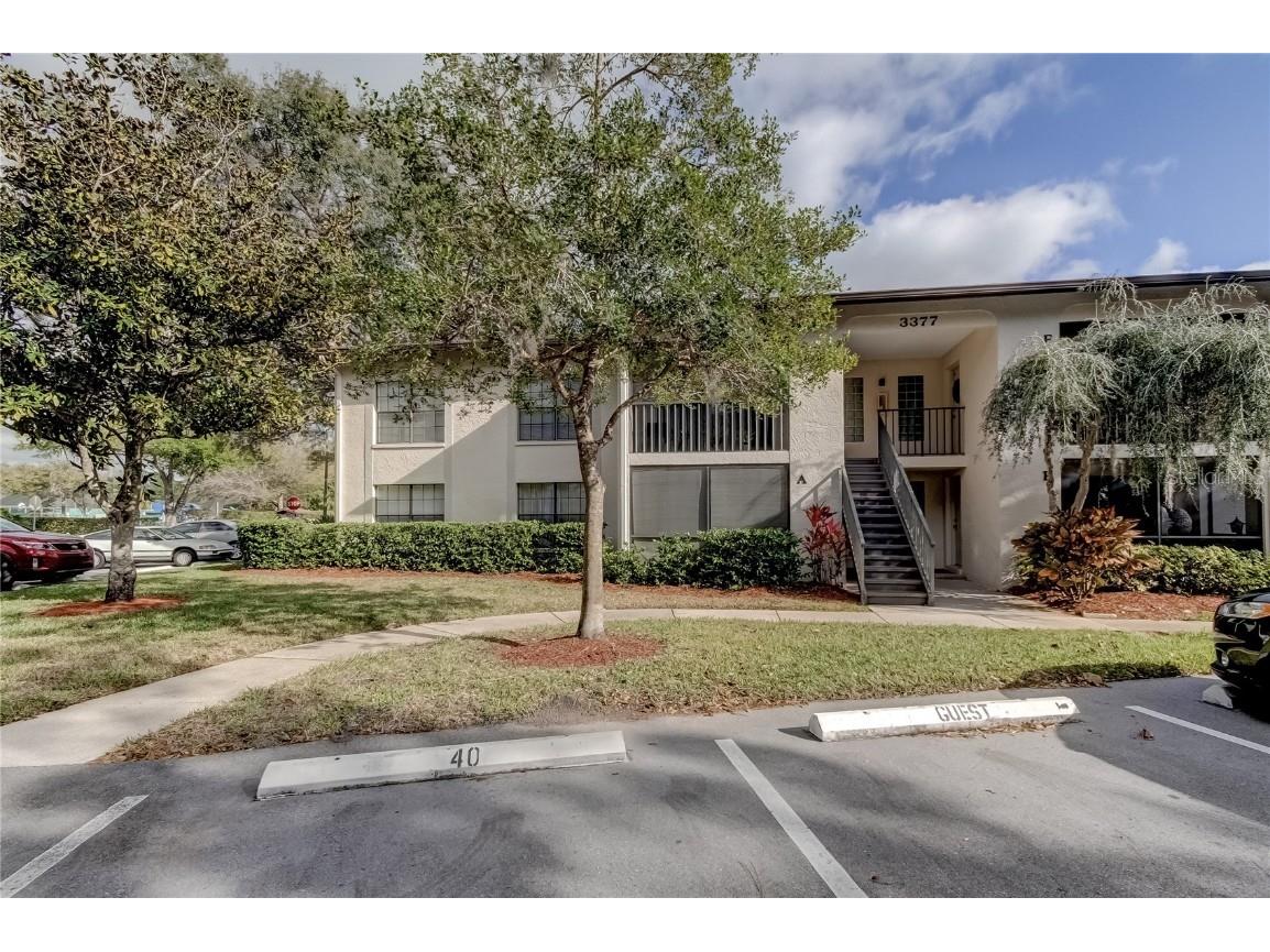 3377 Crystal Court E #E Palm Harbor FL 34685 T3423319 image1