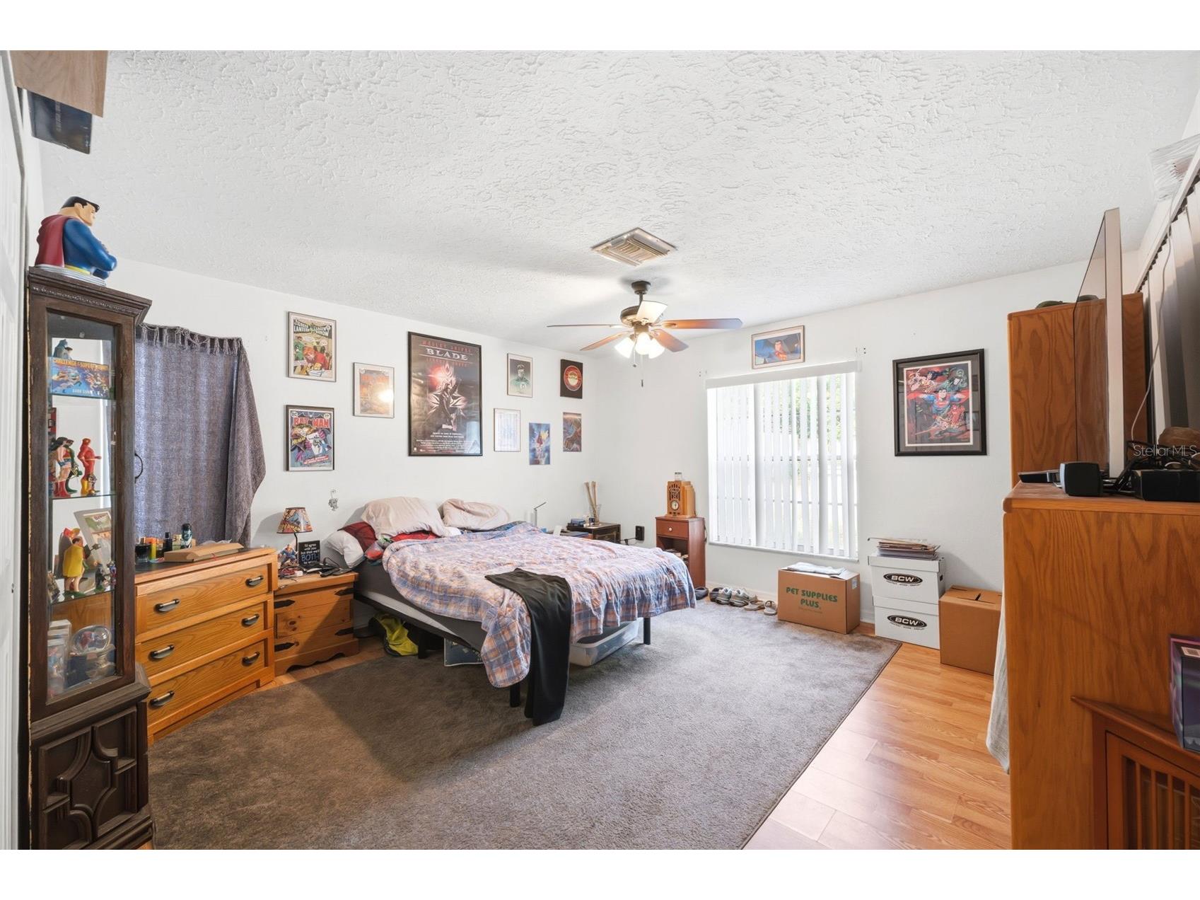 3377 Montano Avenue Spring Hill FL 34609 W7885292 image12