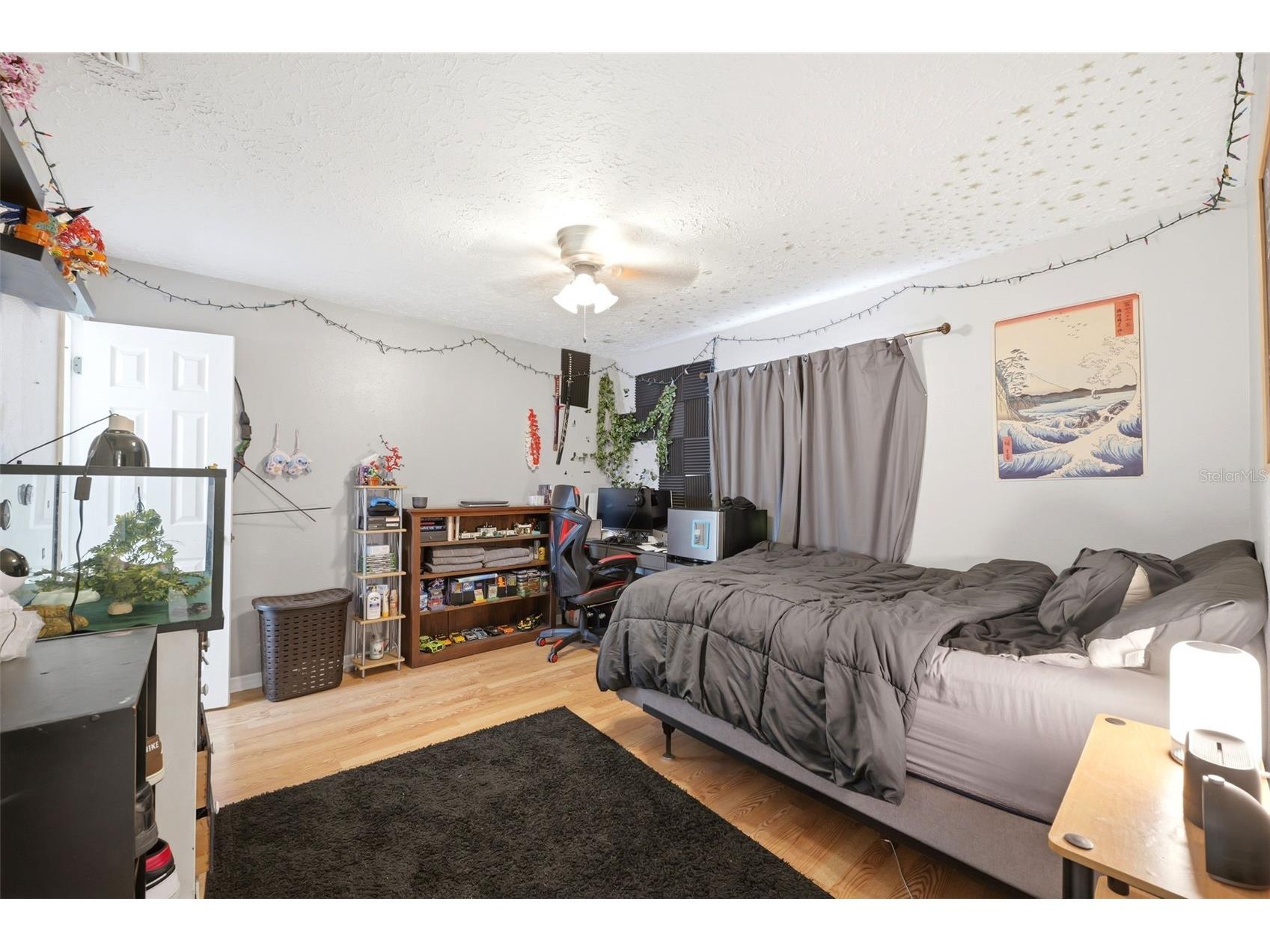3377 Montano Avenue Spring Hill FL 34609 W7885292 image15