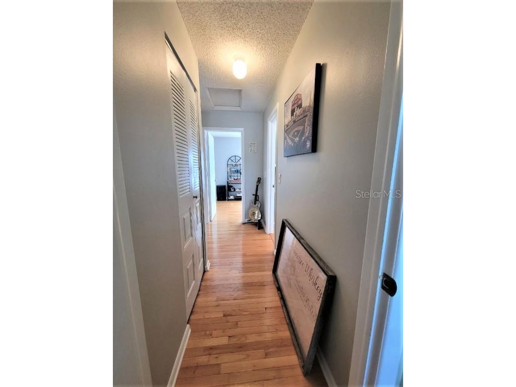 3377 W Wyoming Circle Tampa FL 33611 TB8454137 image15