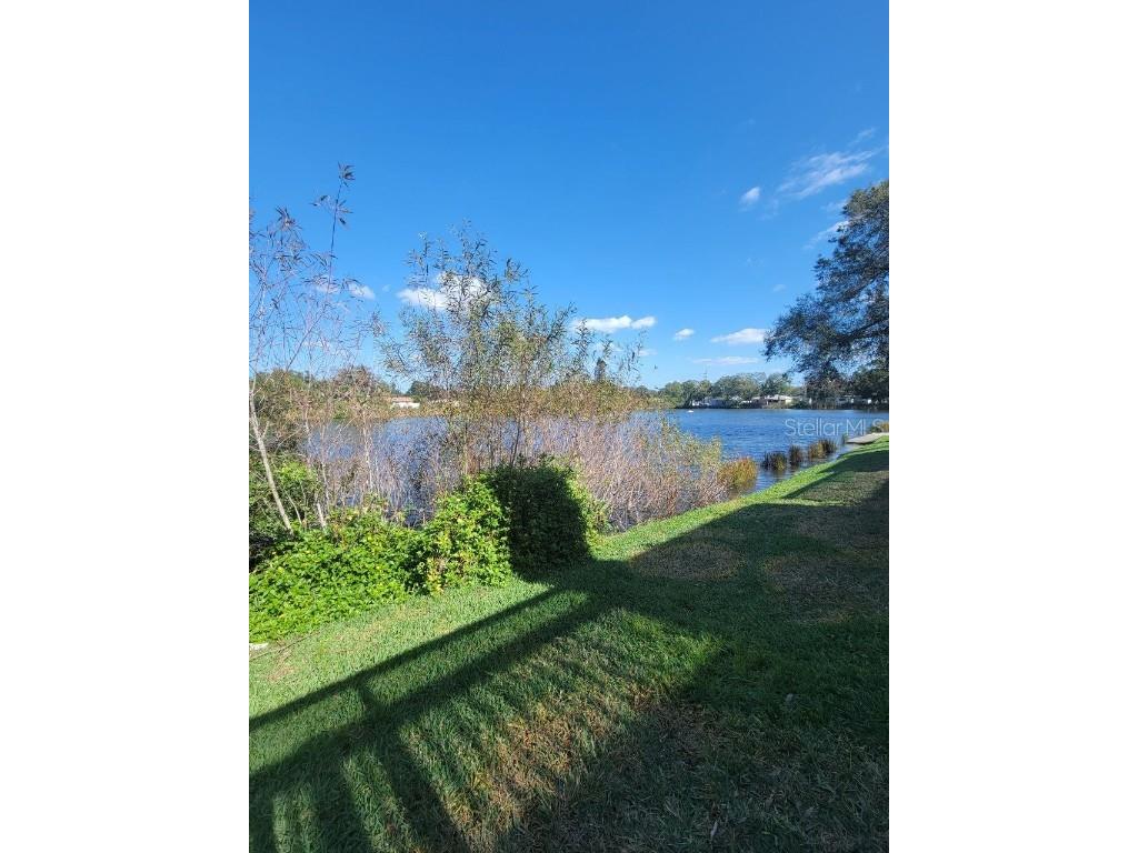 3377 W Wyoming Circle Tampa FL 33611 TB8454137 image24