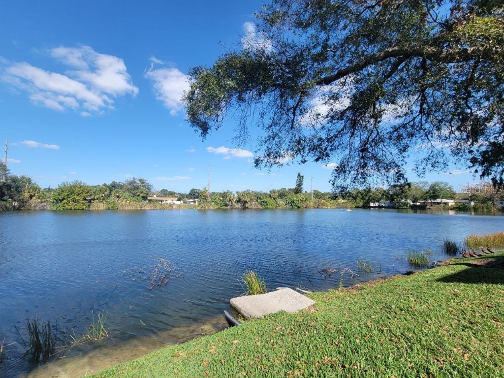 3377 W Wyoming Circle Tampa FL 33611 TB8454137 image28