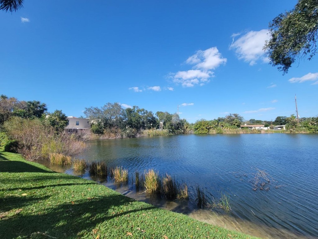 3377 W Wyoming Circle Tampa FL 33611 TB8454137 image29