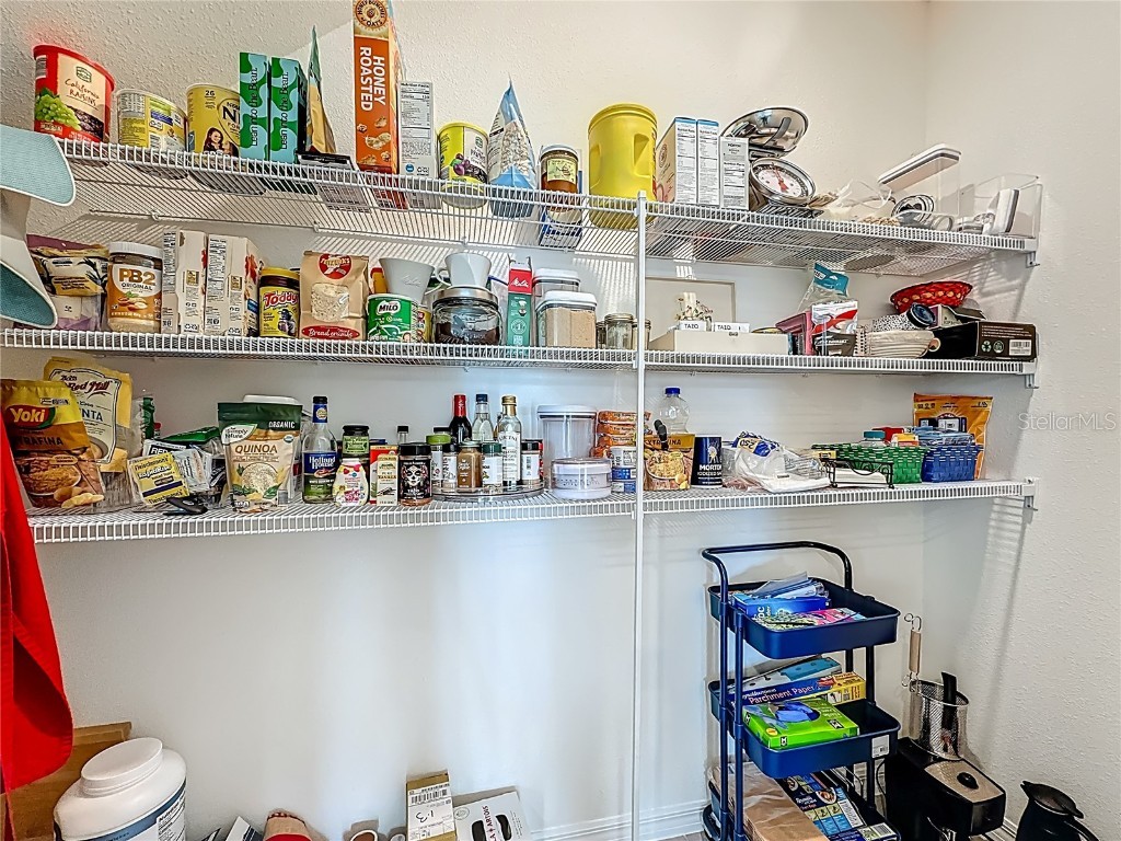 33770 Jasmine Star Loop Wesley Chapel FL 33543 TB8421647 image13