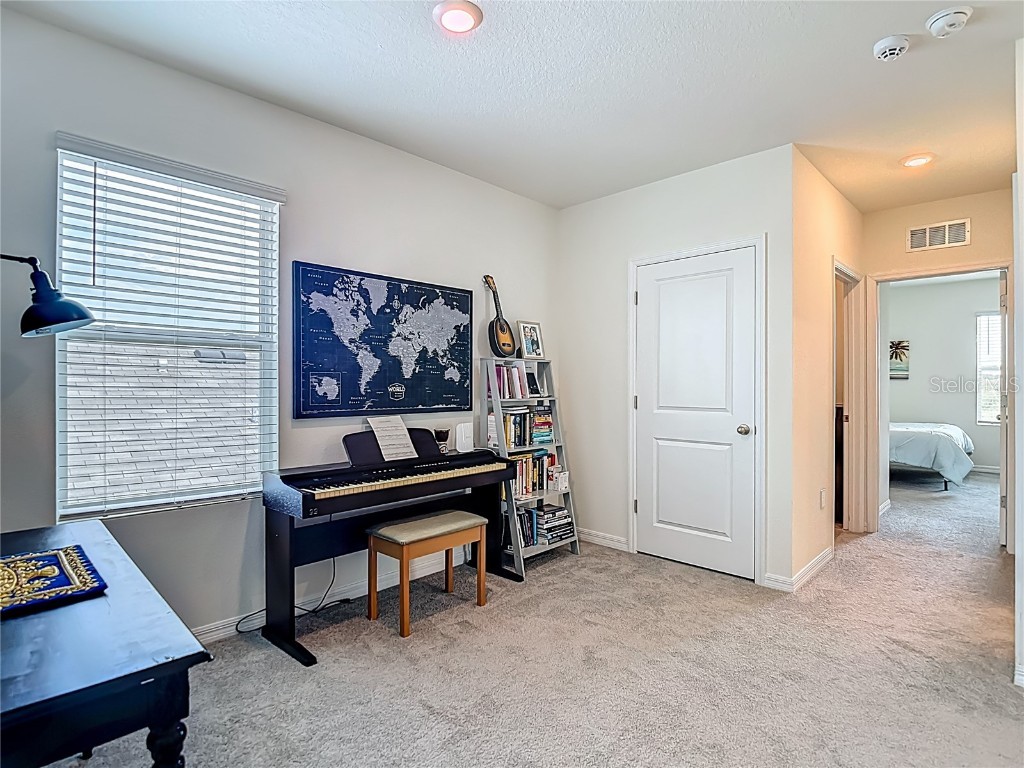 33770 Jasmine Star Loop Wesley Chapel FL 33543 TB8421647 image30