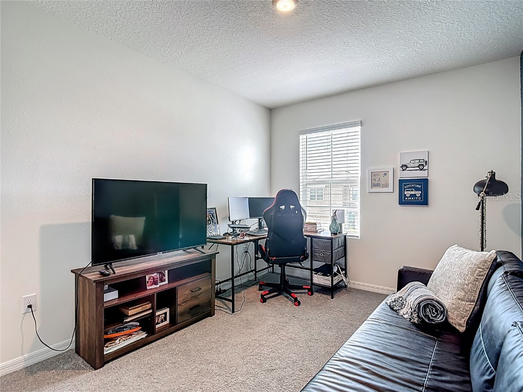 33770 Jasmine Star Loop Wesley Chapel FL 33543 TB8421647 image32