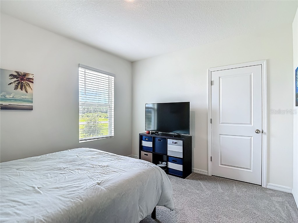 33770 Jasmine Star Loop Wesley Chapel FL 33543 TB8421647 image35