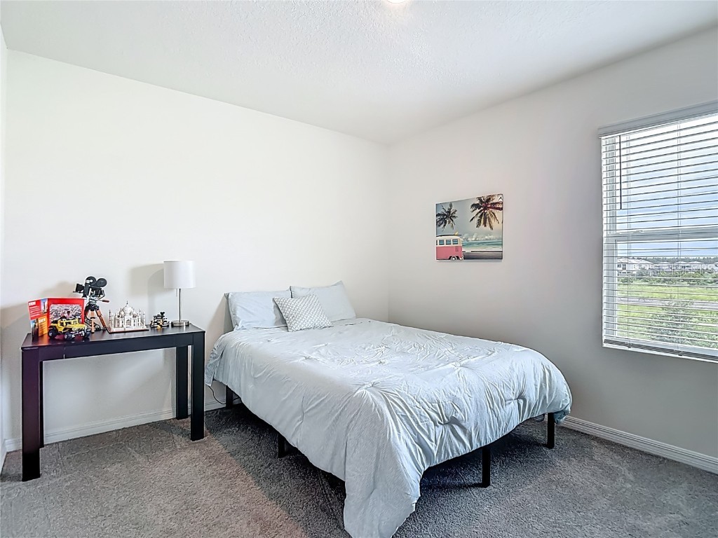 33770 Jasmine Star Loop Wesley Chapel FL 33543 TB8421647 image36