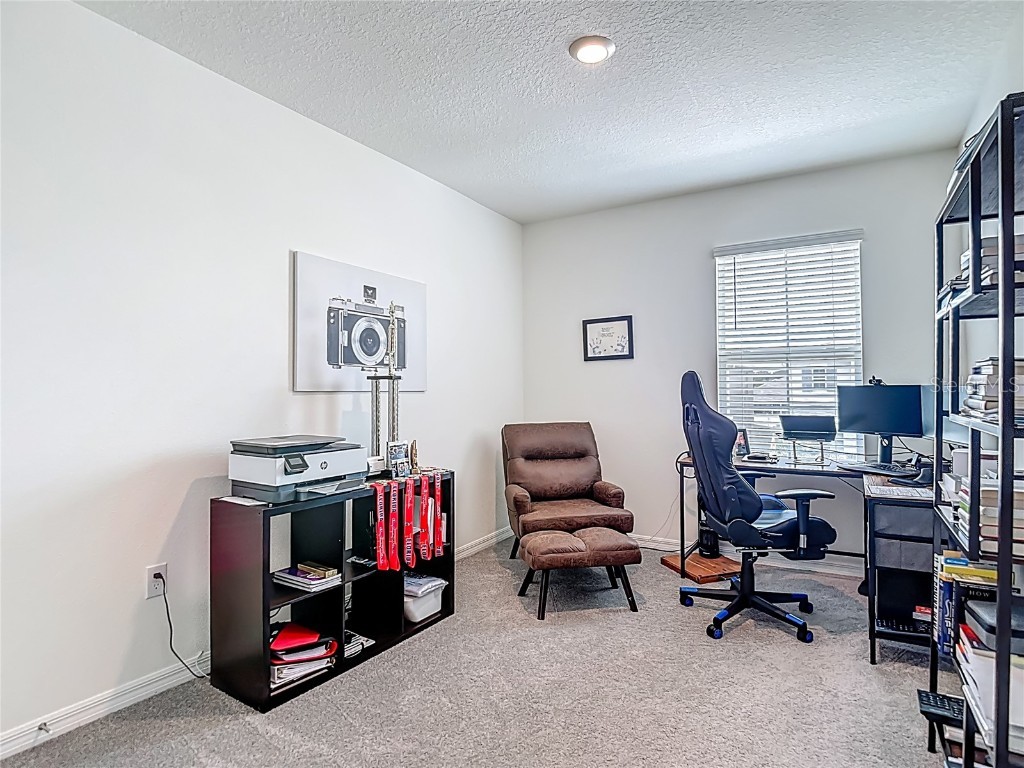 33770 Jasmine Star Loop Wesley Chapel FL 33543 TB8421647 image41