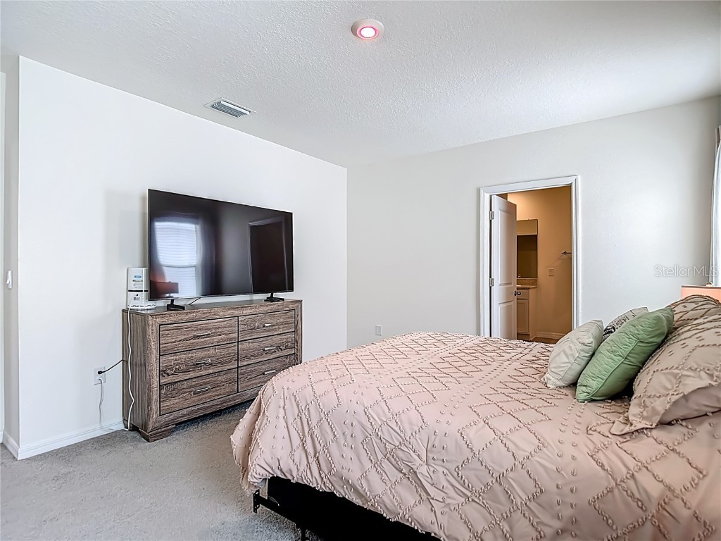 33770 Jasmine Star Loop Wesley Chapel FL 33543 TB8421647 image45