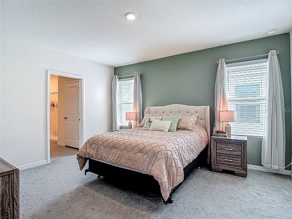 33770 Jasmine Star Loop Wesley Chapel FL 33543 TB8421647 image46