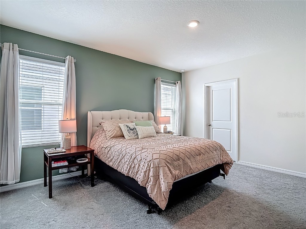 33770 Jasmine Star Loop Wesley Chapel FL 33543 TB8421647 image47