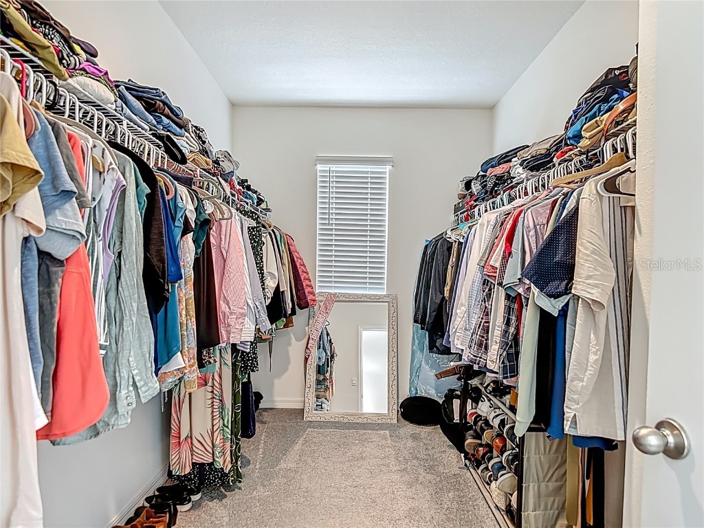 33770 Jasmine Star Loop Wesley Chapel FL 33543 TB8421647 image49