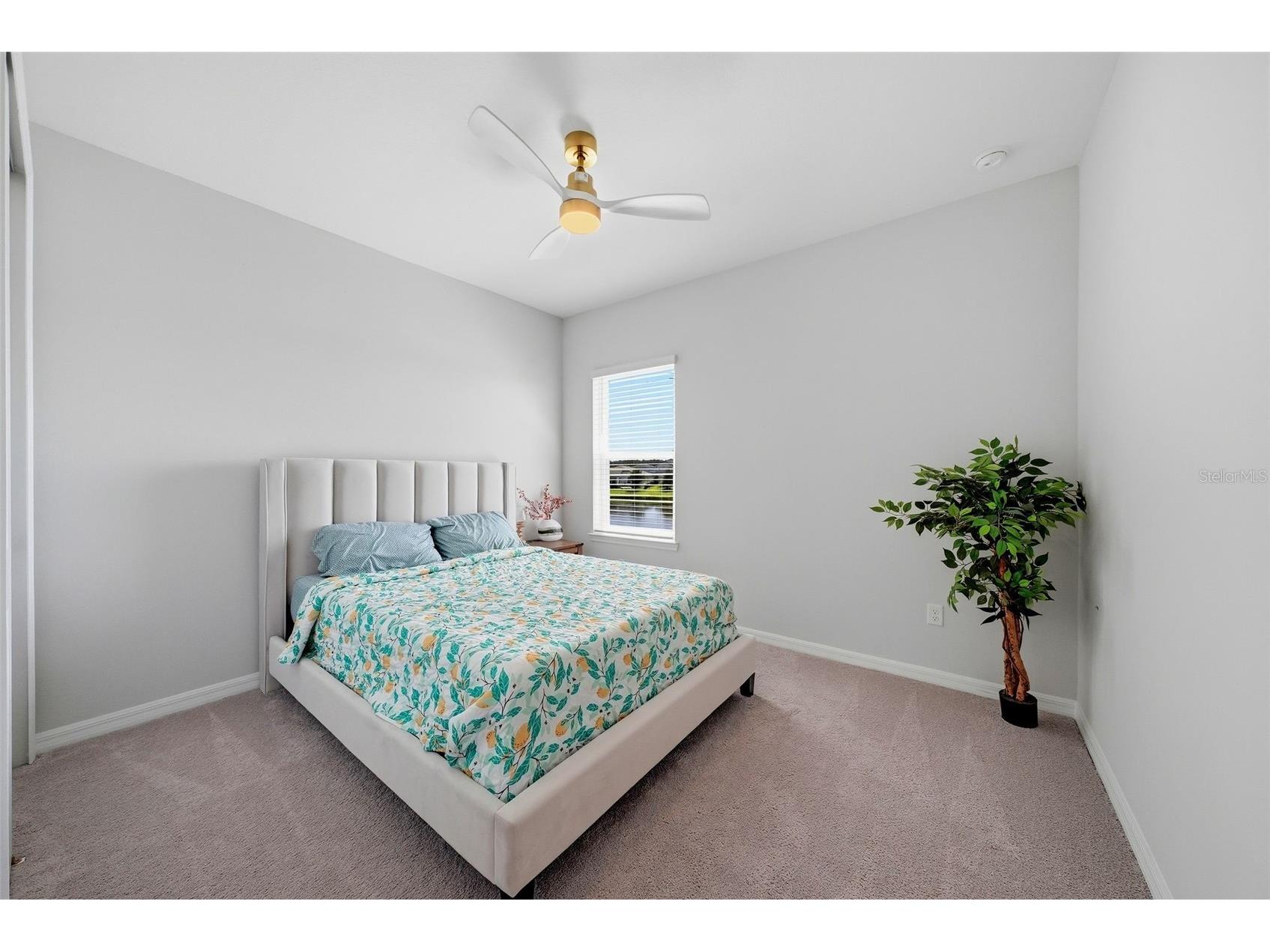 33773 Astoria Circle Wesley Chapel FL 33545 TB8525953 image30