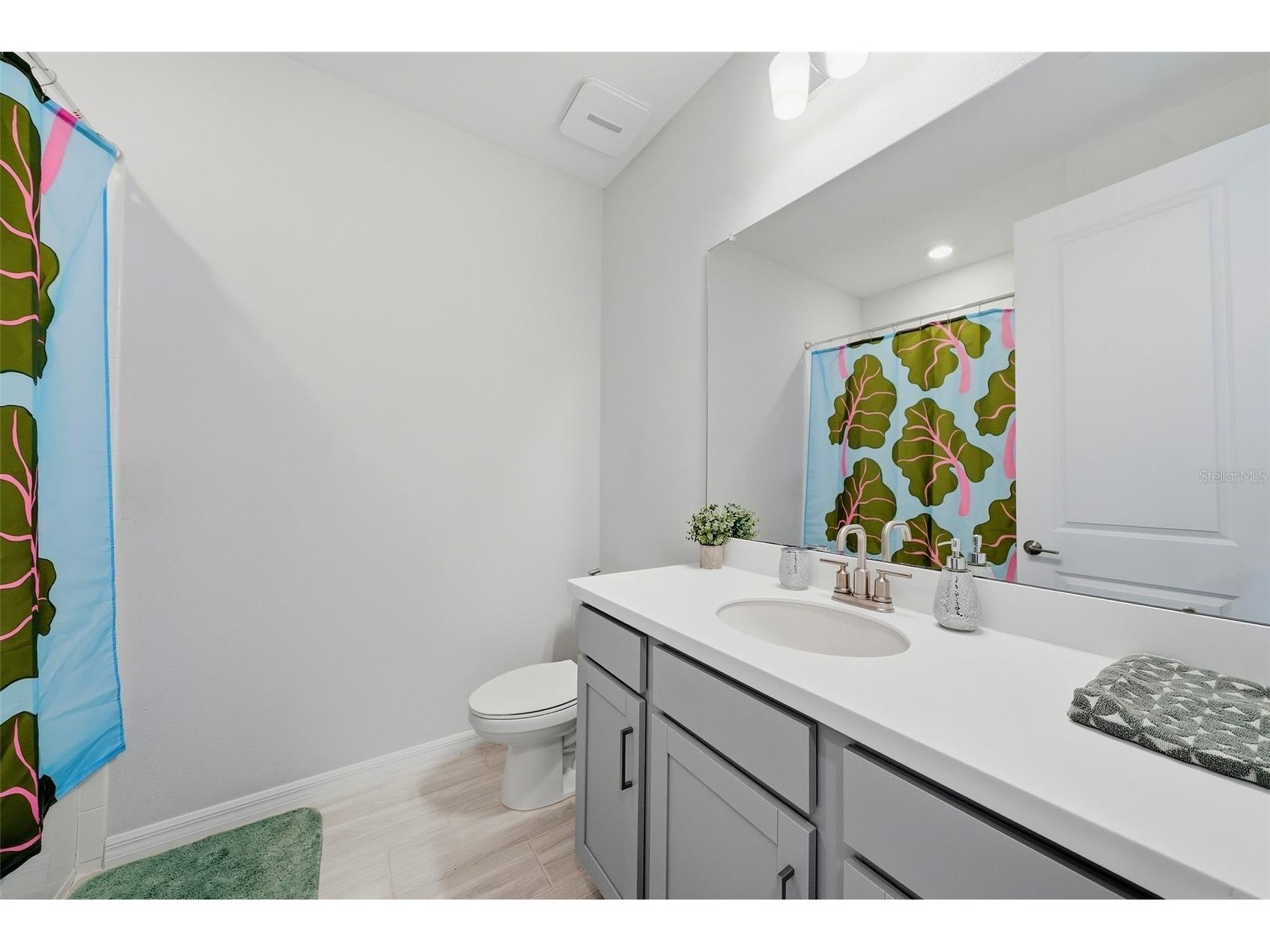 33773 Astoria Circle Wesley Chapel FL 33545 TB8525953 image36