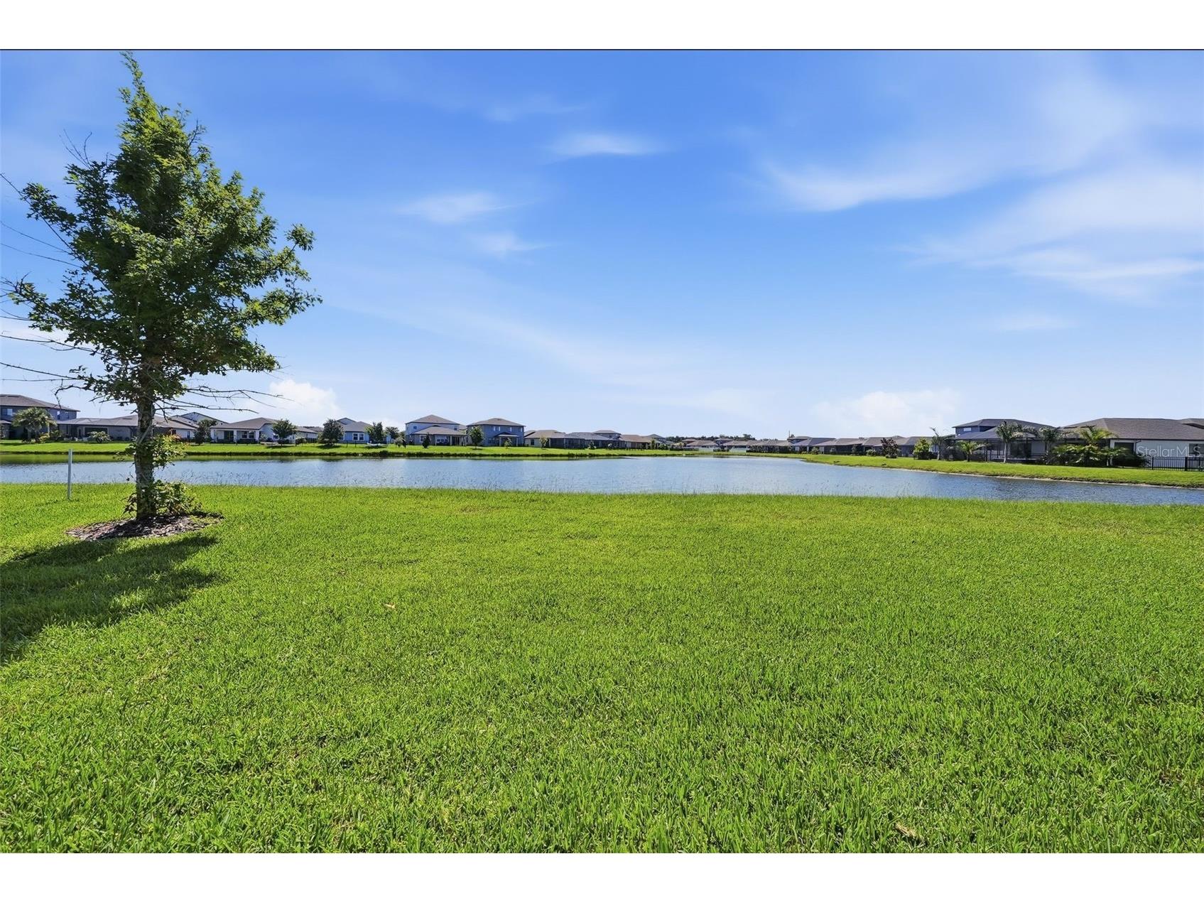 33773 Astoria Circle Wesley Chapel FL 33545 TB8525953 image44