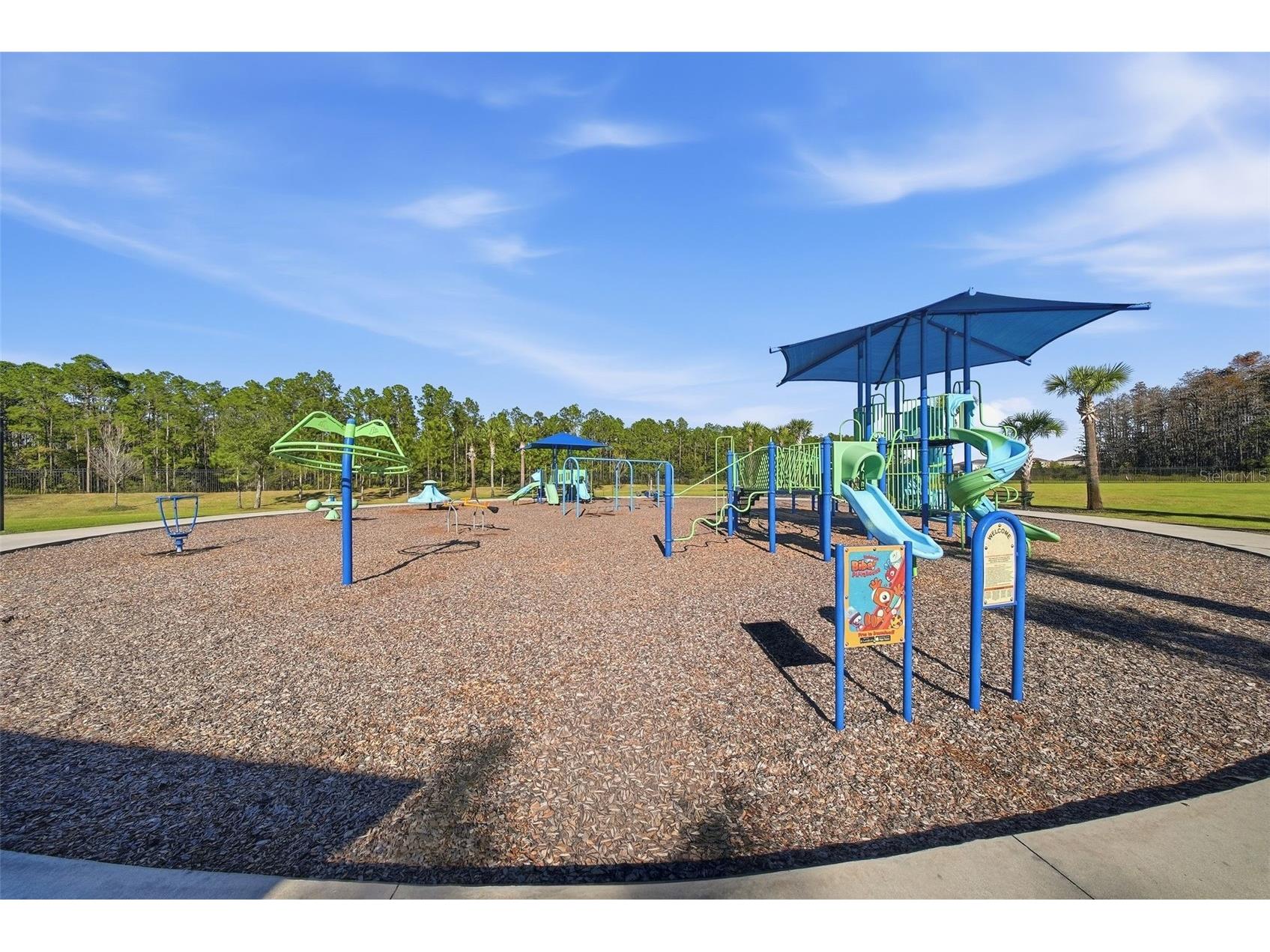 33773 Astoria Circle Wesley Chapel FL 33545 TB8525953 image63