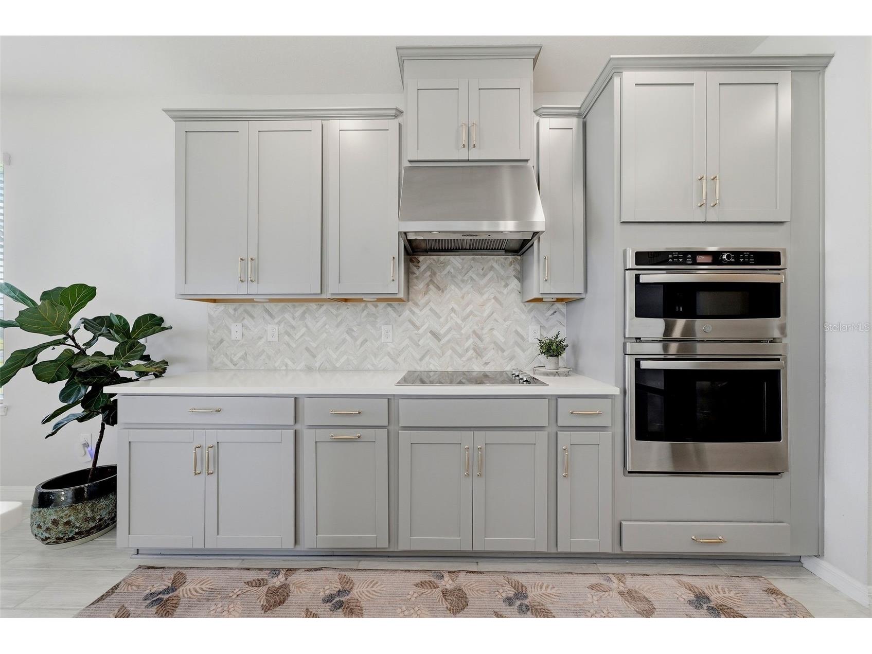 33773 Astoria Circle Wesley Chapel FL 33545 TB8525953 image7