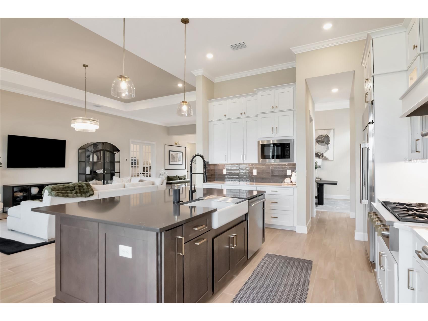 33773 Ocean Spray Lane Wesley Chapel FL 33543 TB8499098 image3