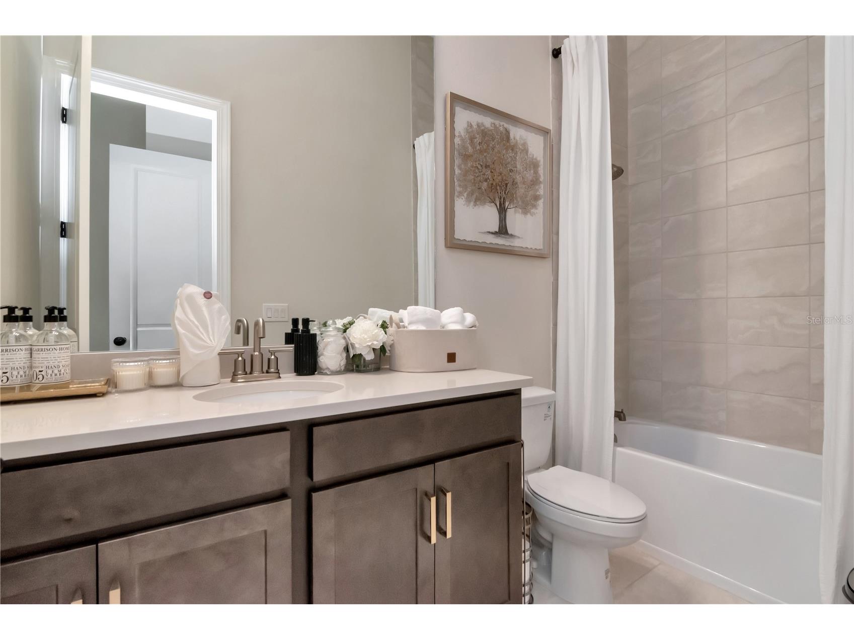 33773 Ocean Spray Lane Wesley Chapel FL 33543 TB8499098 image36