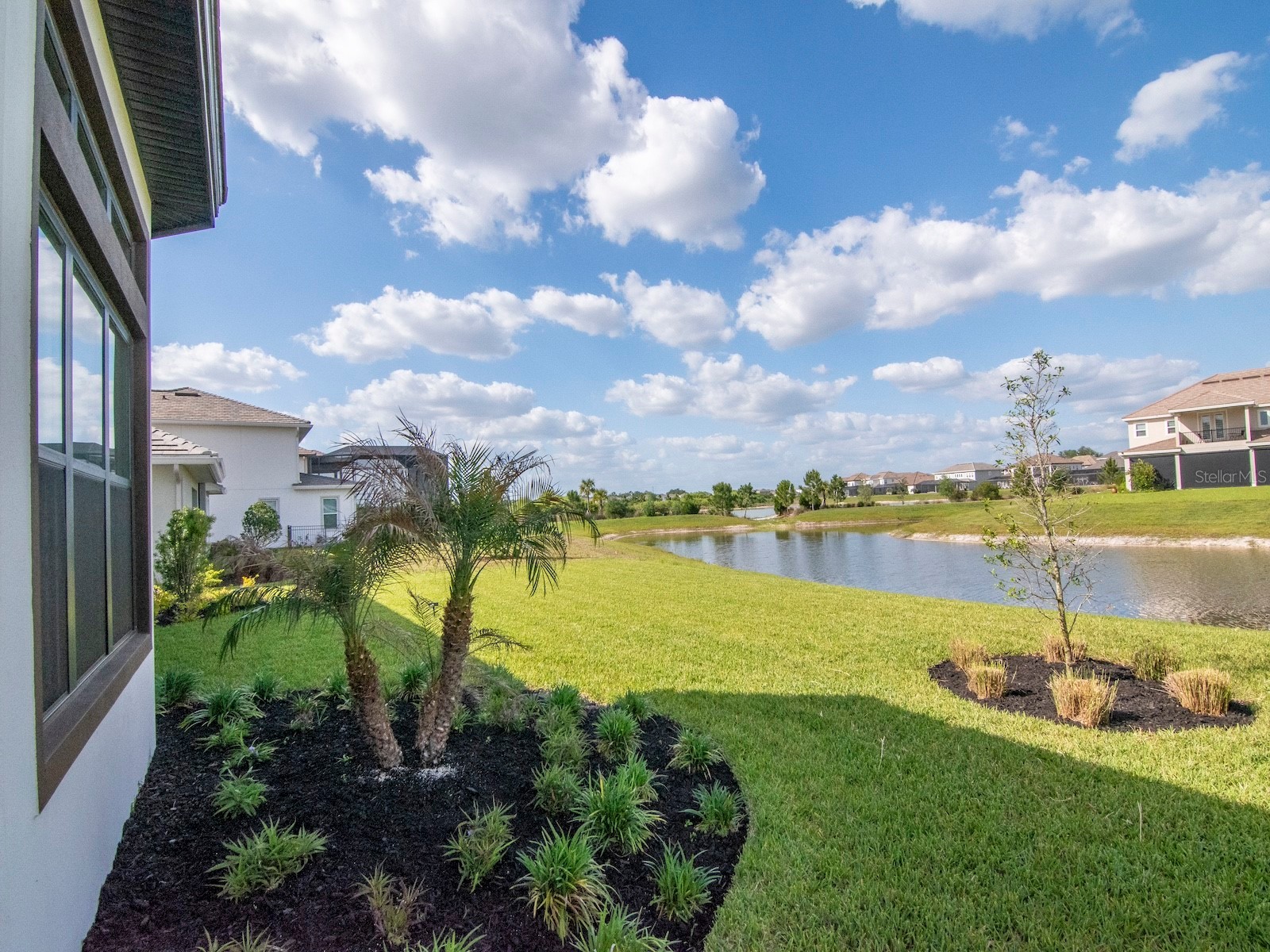 33773 Ocean Spray Lane Wesley Chapel FL 33543 TB8499098 image40
