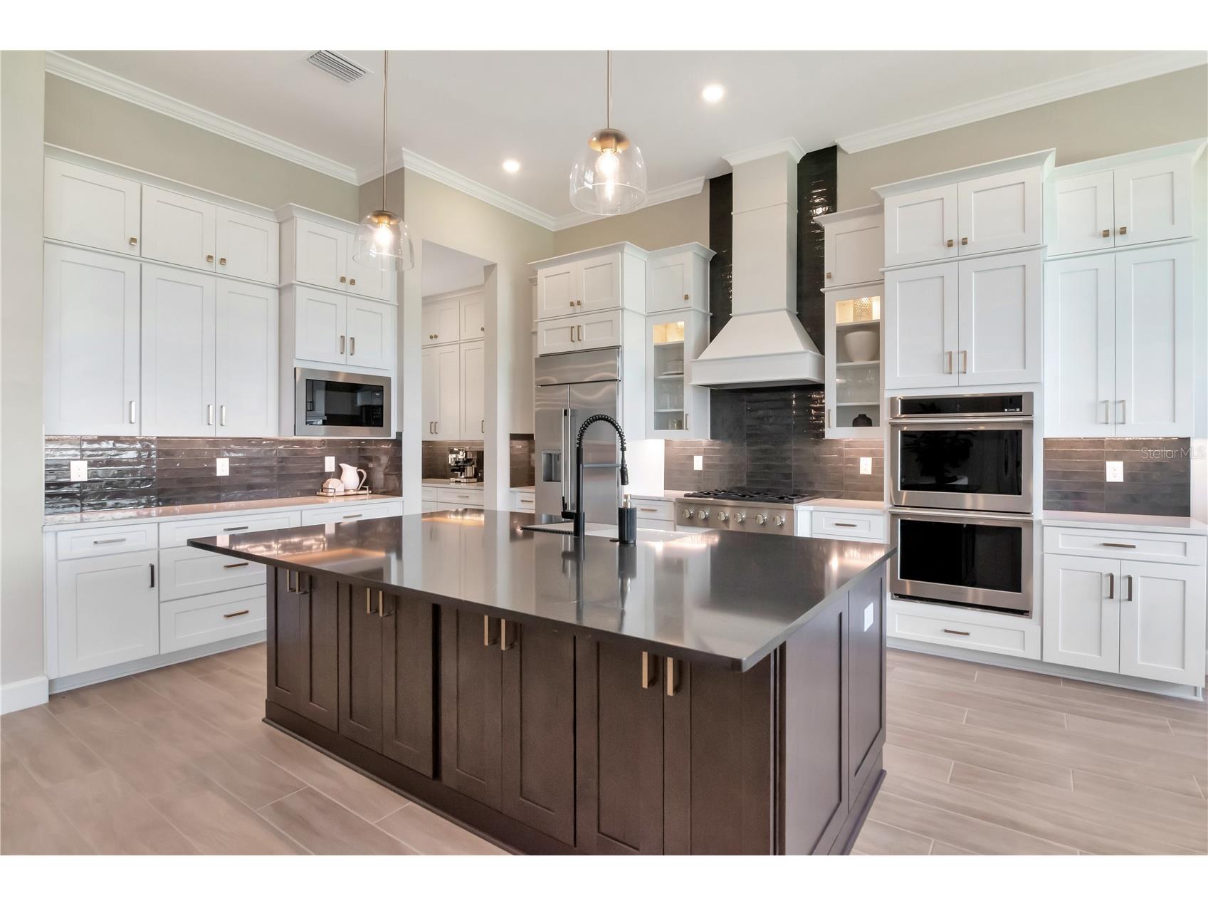 33773 Ocean Spray Lane Wesley Chapel FL 33543 TB8499098 image8
