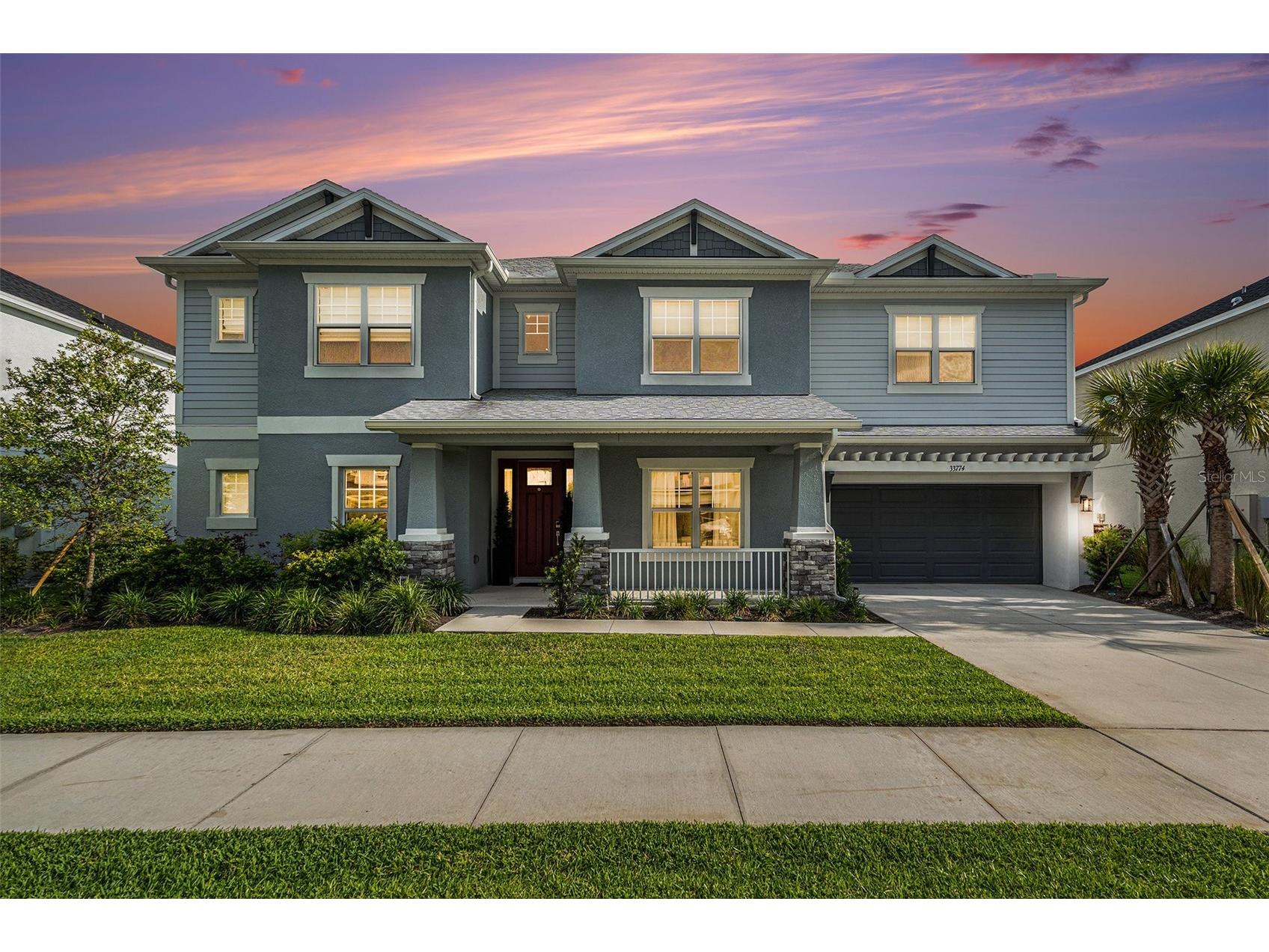 33774 Castaway Loop Wesley Chapel FL 33543 TB8516987 image1