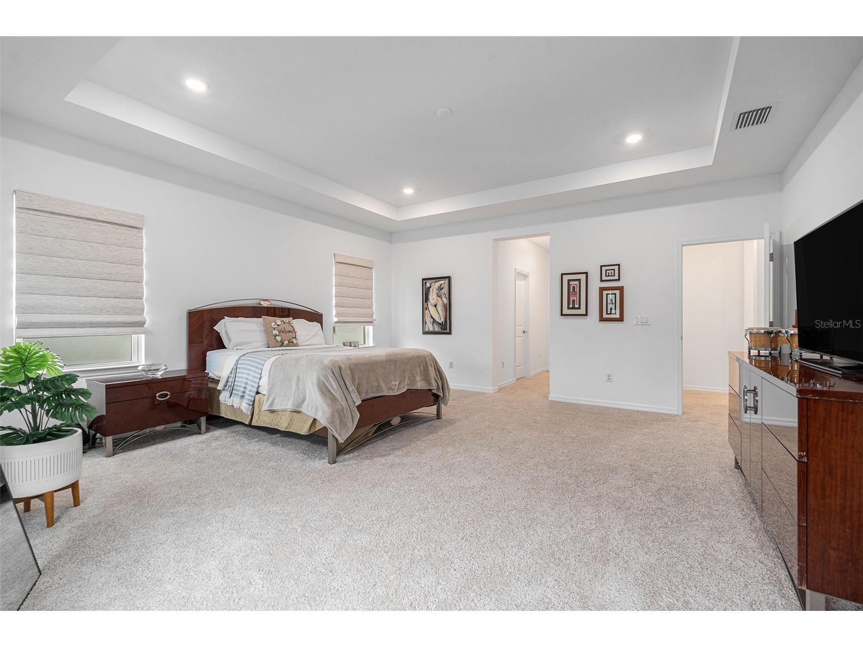 33774 Castaway Loop Wesley Chapel FL 33543 TB8516987 image49